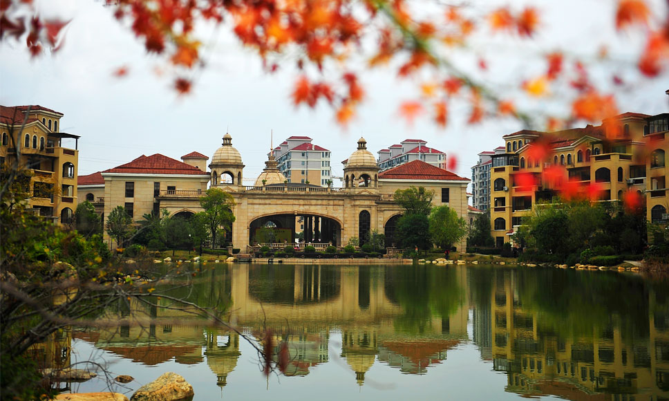 ���߹��ʳ�